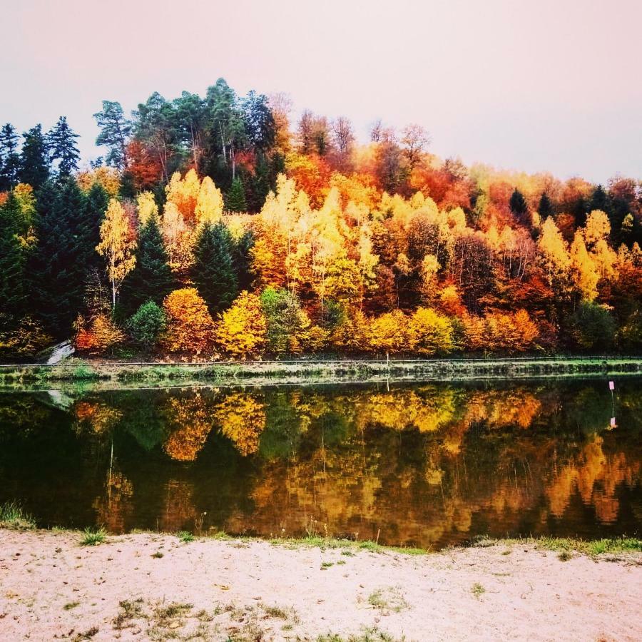 Au Coeur Des Sapins Apartment Abreschviller Bagian luar foto